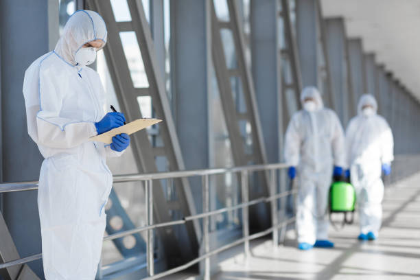 Best Water Damage & Mold Remediation  in Sturtevant, WI