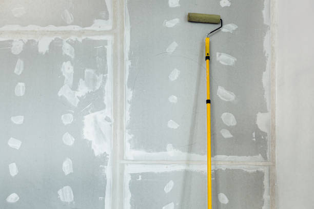 Best Commercial Mold Inspection  in Sturtevant, WI