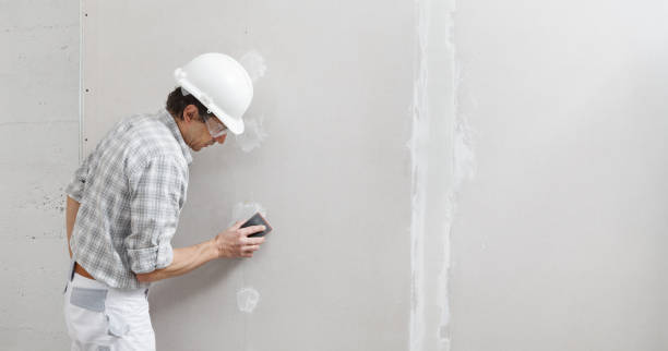Best Mold Documentation for Insurance Claims  in Sturtevant, WI