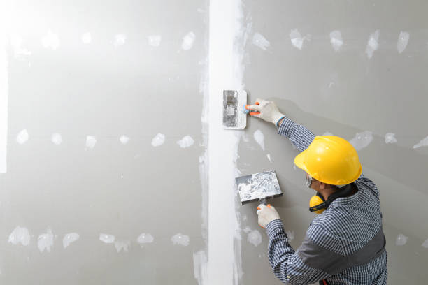 Best Basement Mold Removal  in Sturtevant, WI