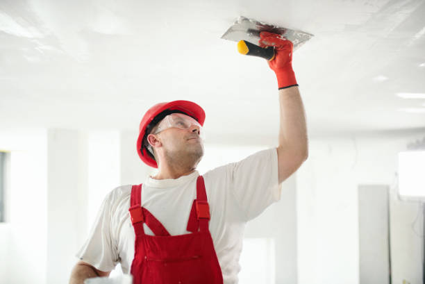 Best Water Damage & Mold Remediation  in Sturtevant, WI