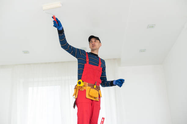 Best Mold Prevention Services  in Sturtevant, WI