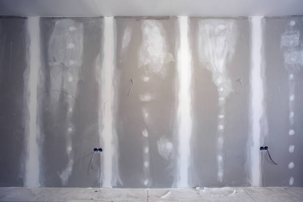 Best Biohazard Mold Removal  in Sturtevant, WI